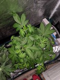 IMG_20190823_123118