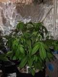 IMG_20190823_123049