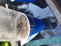 IMG_20230625_085717