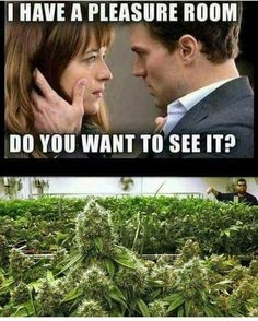 6ff3bd813887a777ce9bfcc6443267a8--weed-humor-smoke-weed