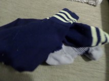 SAM_3547
