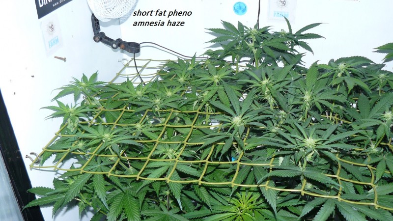 drobes 03 07 23 002