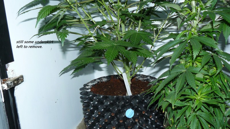 drobes 03 07 23 005