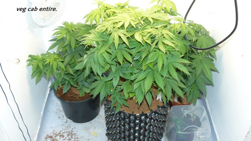drobes 03 07 23 027