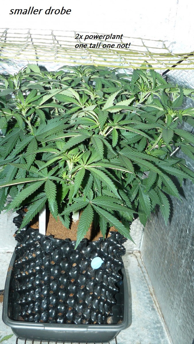 drobes 03 07 23 030