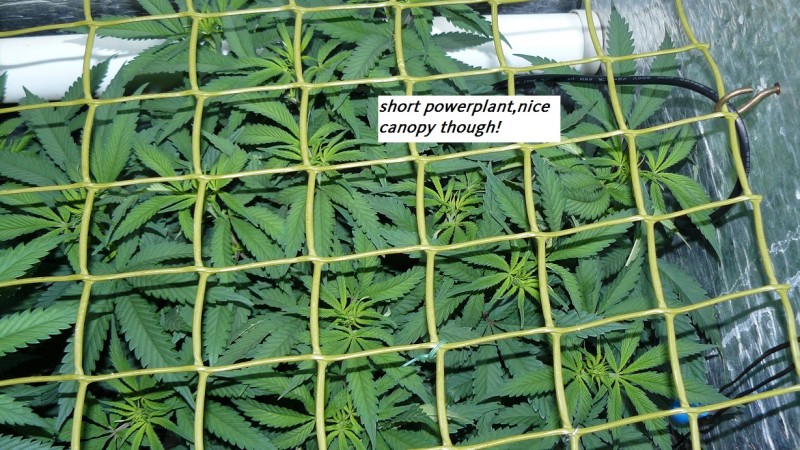 drobes 03 07 23 031