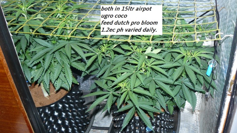 drobes 03 07 23 036