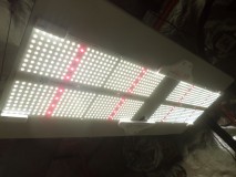 SAM_3570