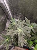 IMG_20190827_165837