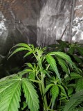 IMG_20190827_165723