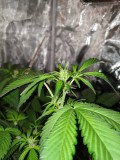 IMG_20190827_165715