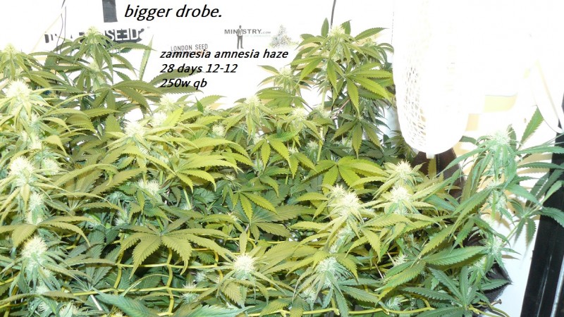 drobes 11 07 23 001
