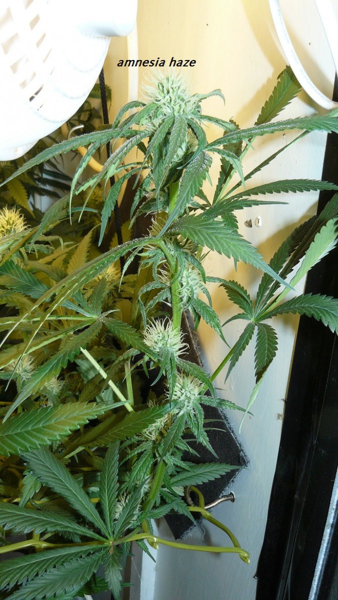 drobes 11 07 23 005