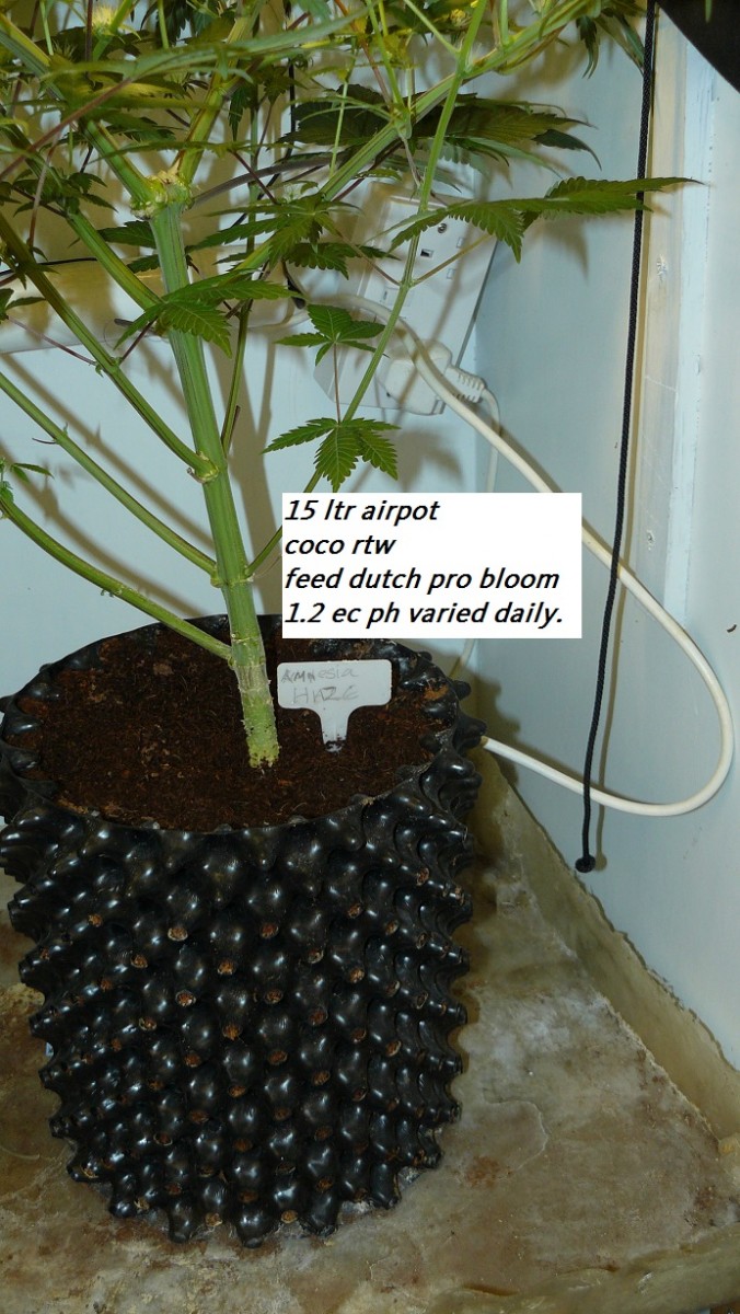 drobes 11 07 23 006