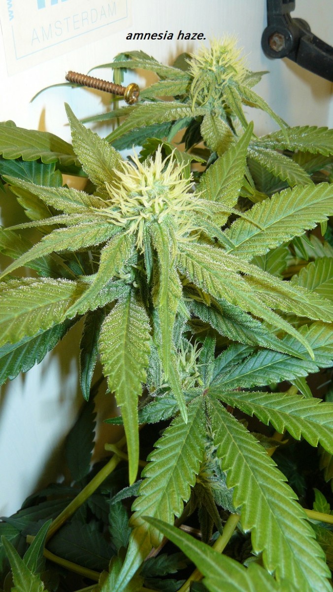 drobes 11 07 23 009
