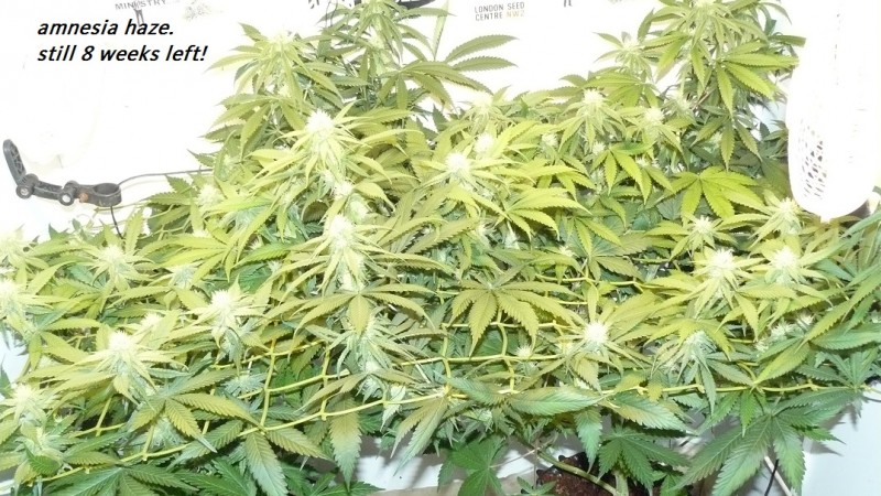 drobes 11 07 23 013