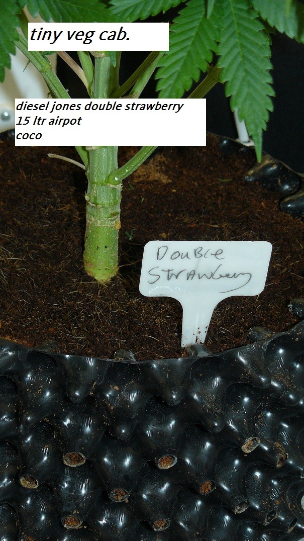 drobes 11 07 23 017