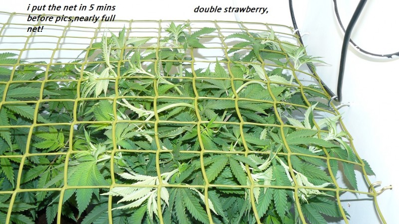 drobes 11 07 23 018