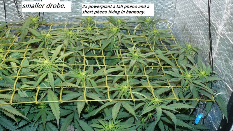drobes 11 07 23 026