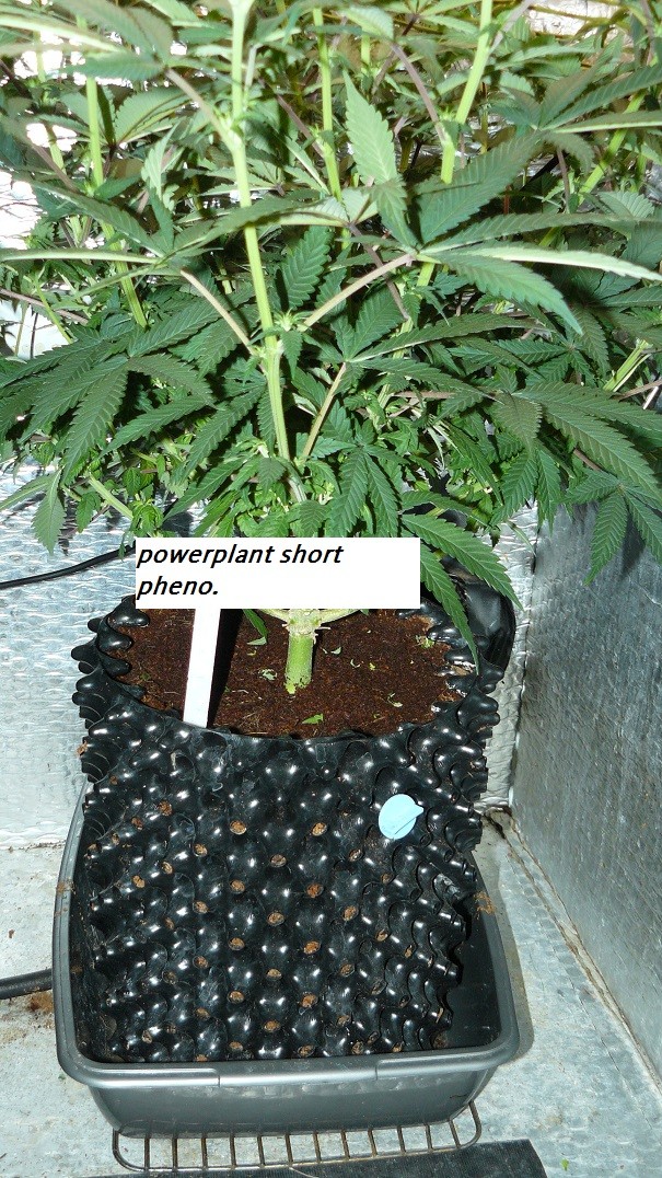 drobes 11 07 23 027