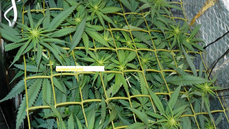 drobes 11 07 23 031