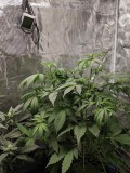 IMG_20190827_165850