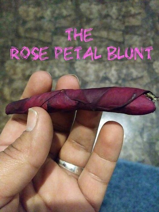 rosepetal