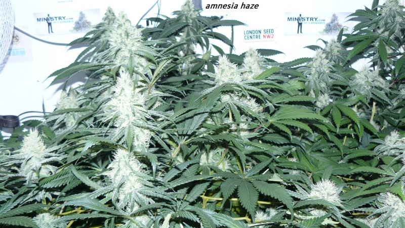 drobes 22 7 23 003