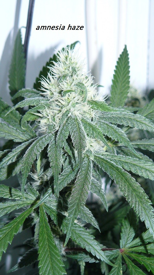 drobes 22 7 23 014