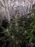 IMG_20190829_164535
