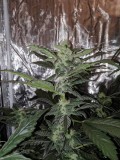 IMG_20190829_164809