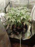 IMG_20230731_092252