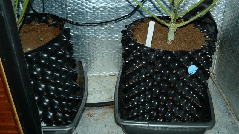 drobes 010823 027