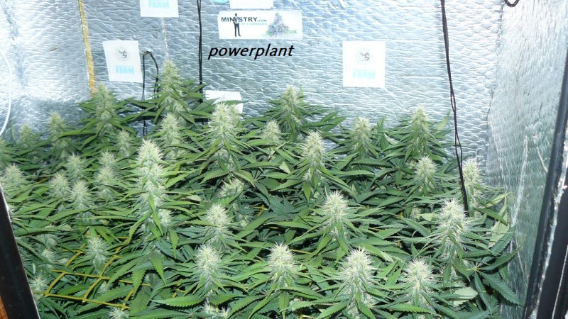drobes 010823 028