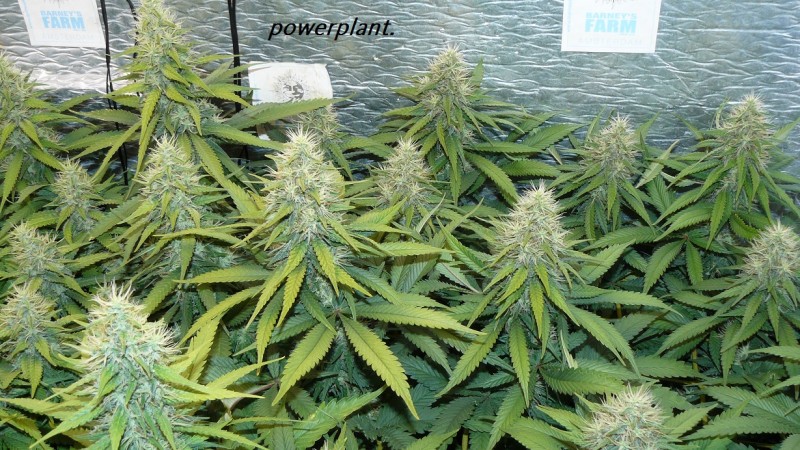 drobes 09 08 23 002
