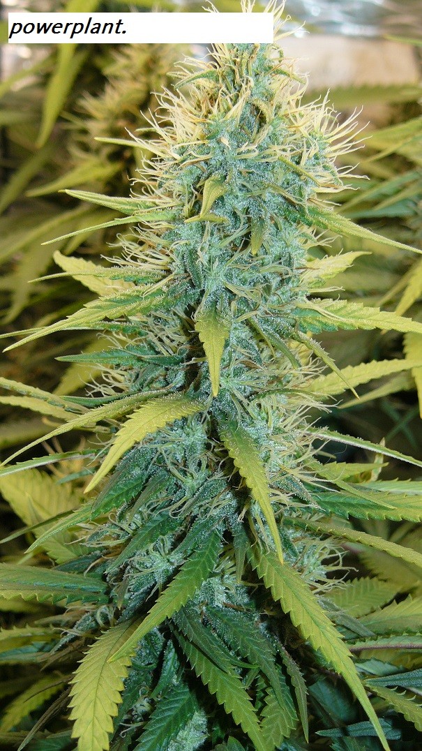 drobes 09 08 23 007