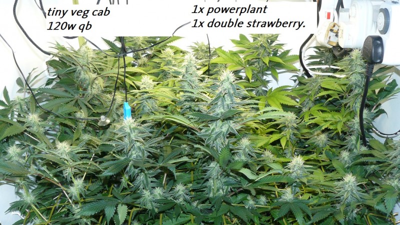 drobes 09 08 23 016