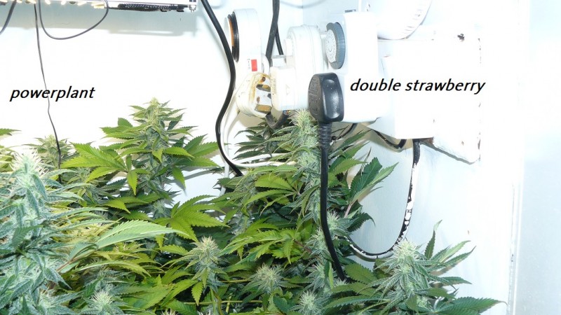 drobes 09 08 23 017