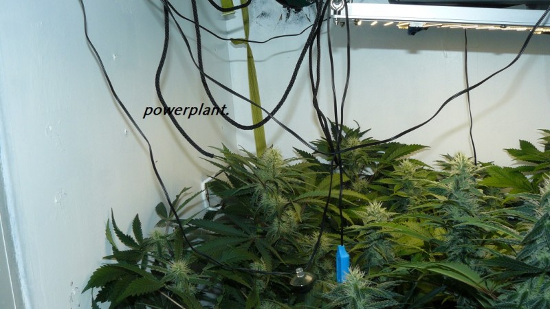 drobes 09 08 23 018