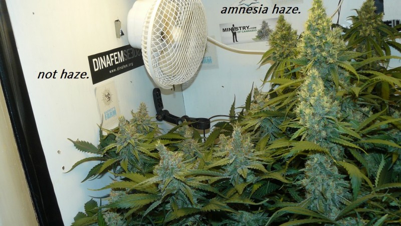 drobes 09 08 23 038