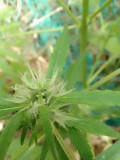 IMG_20230815_094244