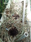 IMG_20230815_093456