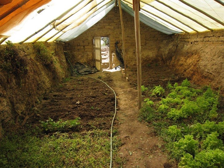 undergroundgreenhouse