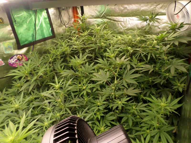 day14b4trimright