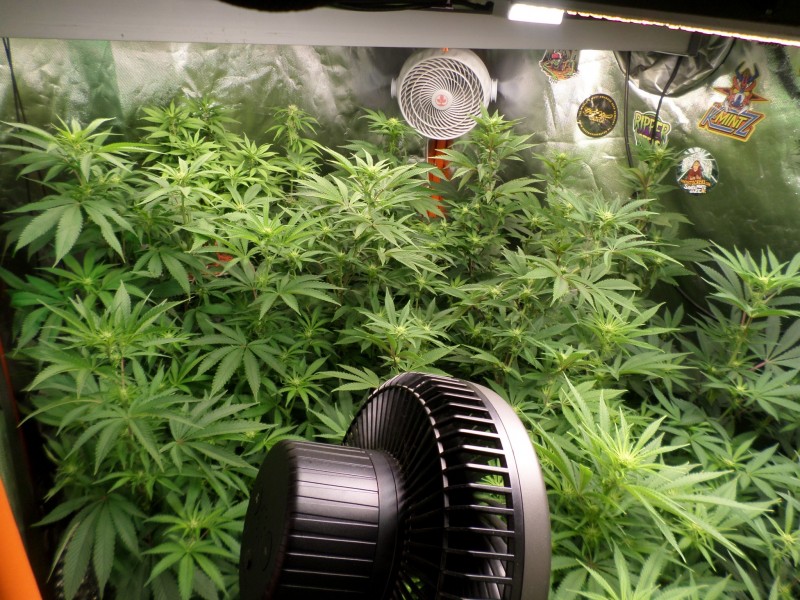 day14b4trimleft
