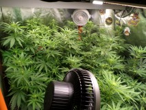 day14b4trimleft
