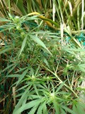 IMG_20230820_081628