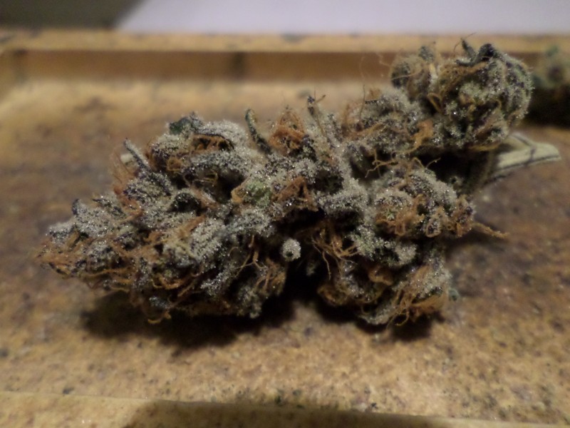 spritzcurednug