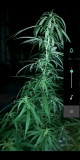 Screenshot_20230816-222111