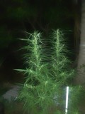 IMG_20230905_203126